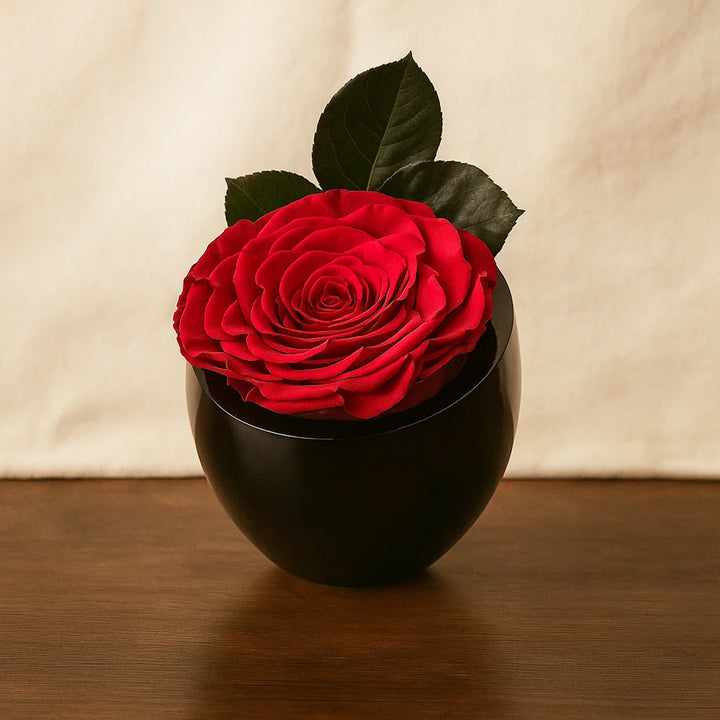 Dark Pink Forever Rose | Premium Ceramic Vase