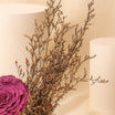 Purple Preserved Rose Vase