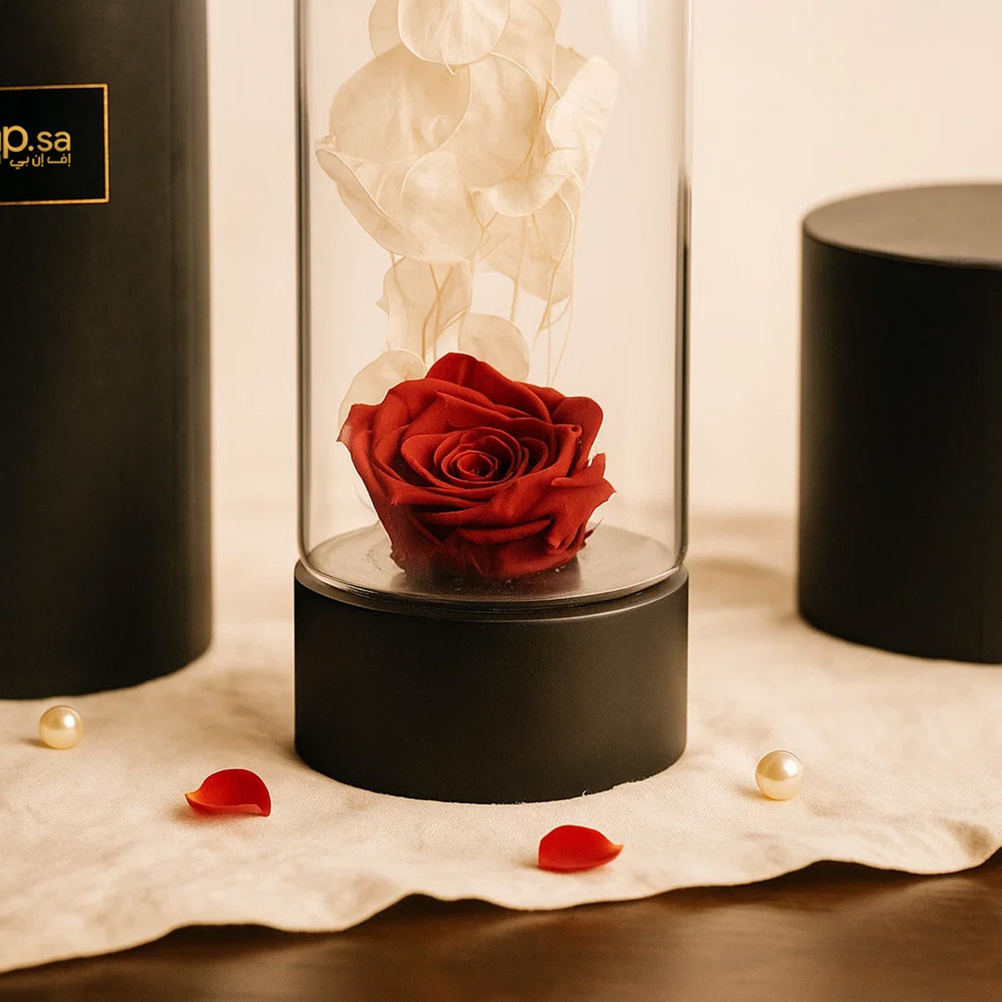 Red Forever Rose in Ebony Black Vase