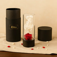 Red Forever Rose in Ebony Black Vase