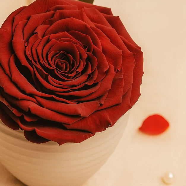 Forever Rose Love Vase