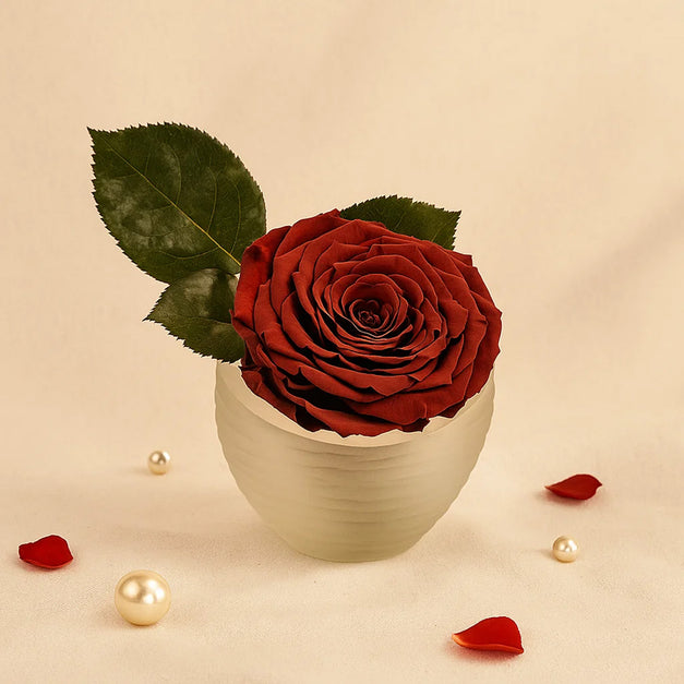 Forever Rose Love Vase