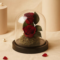 Red Preserved Rose Antique