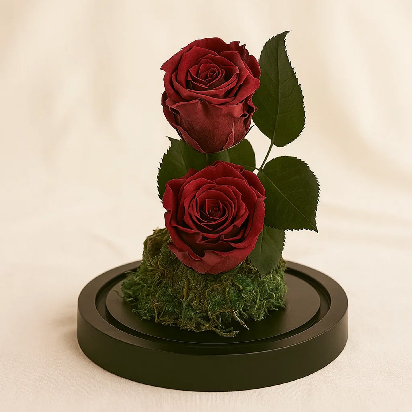 Red Preserved Rose Antique