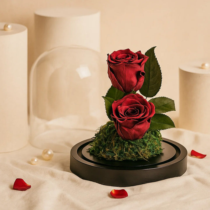 Red Preserved Rose Antique