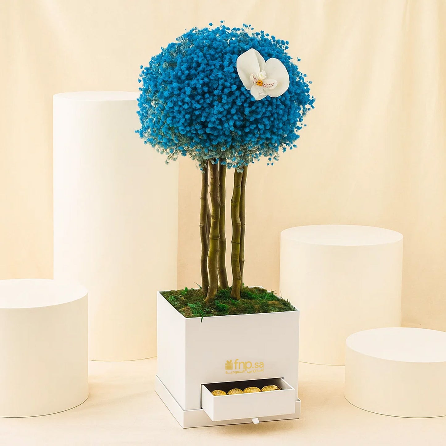 Sky Blue Gypsophillia With Chocolate