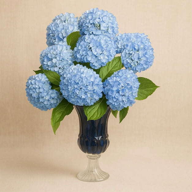 Hydrangea Arrangement Grandeur