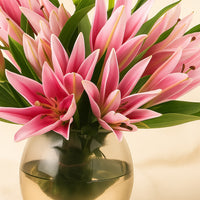 Pink Lily Radiant Vase