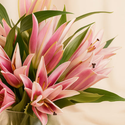 Pink Lily Radiant Vase