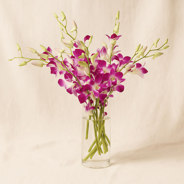 Mesmerizing Purple Orchid