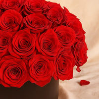 Love’s Kiss Red Roses Box