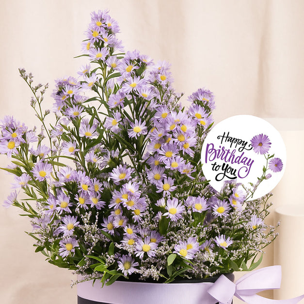 Birthday Wishes Aster Flowers Black Box