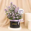 Birthday Wishes Aster Flowers Black Box