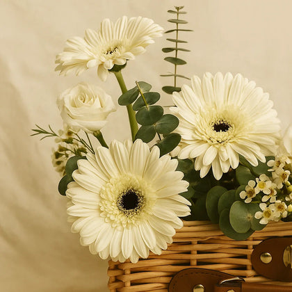  AANI & DANI Chocolate in Gerbera Basket