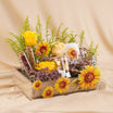 Sunflower Delights Get Well Soon Basket