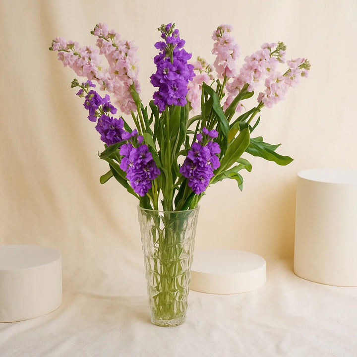 Graceful Matthiola Vase