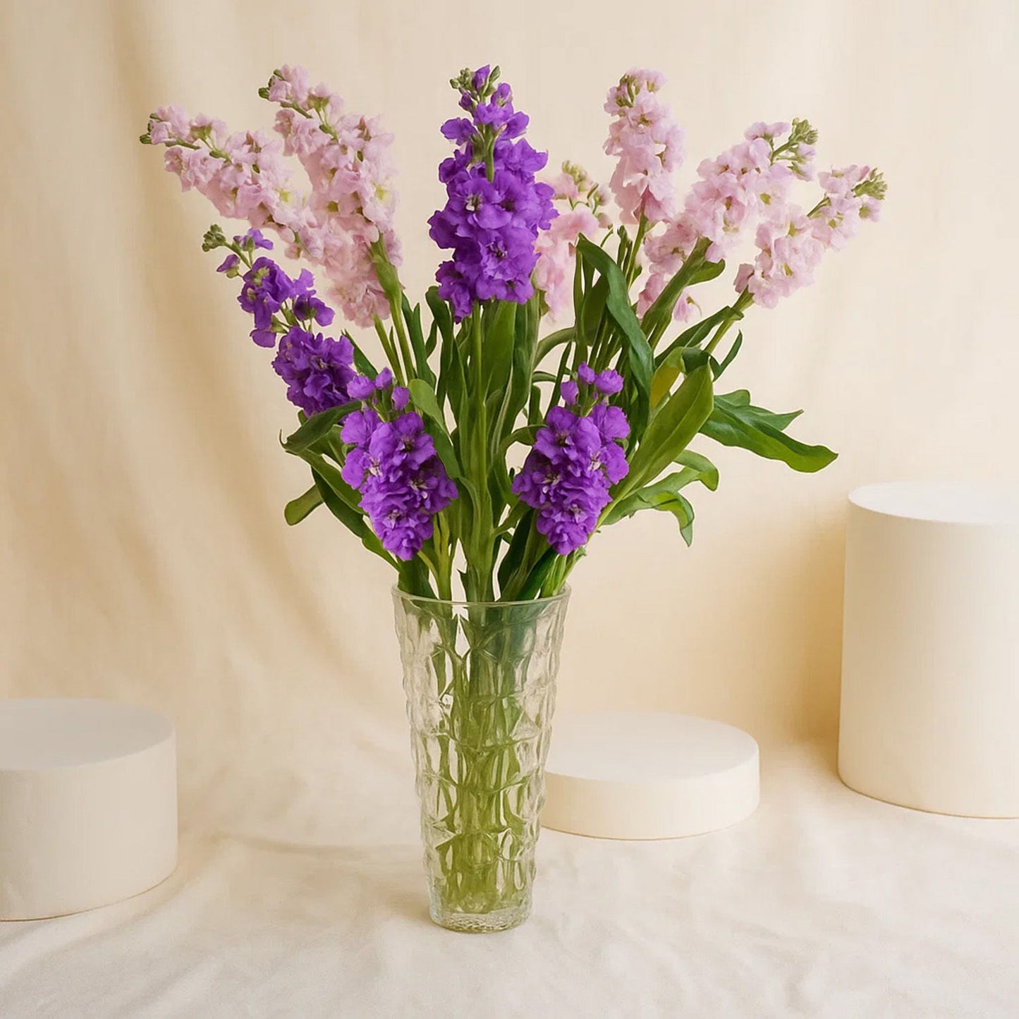Graceful Matthiola Vase