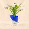 Green Trio Indoor Plant Set
