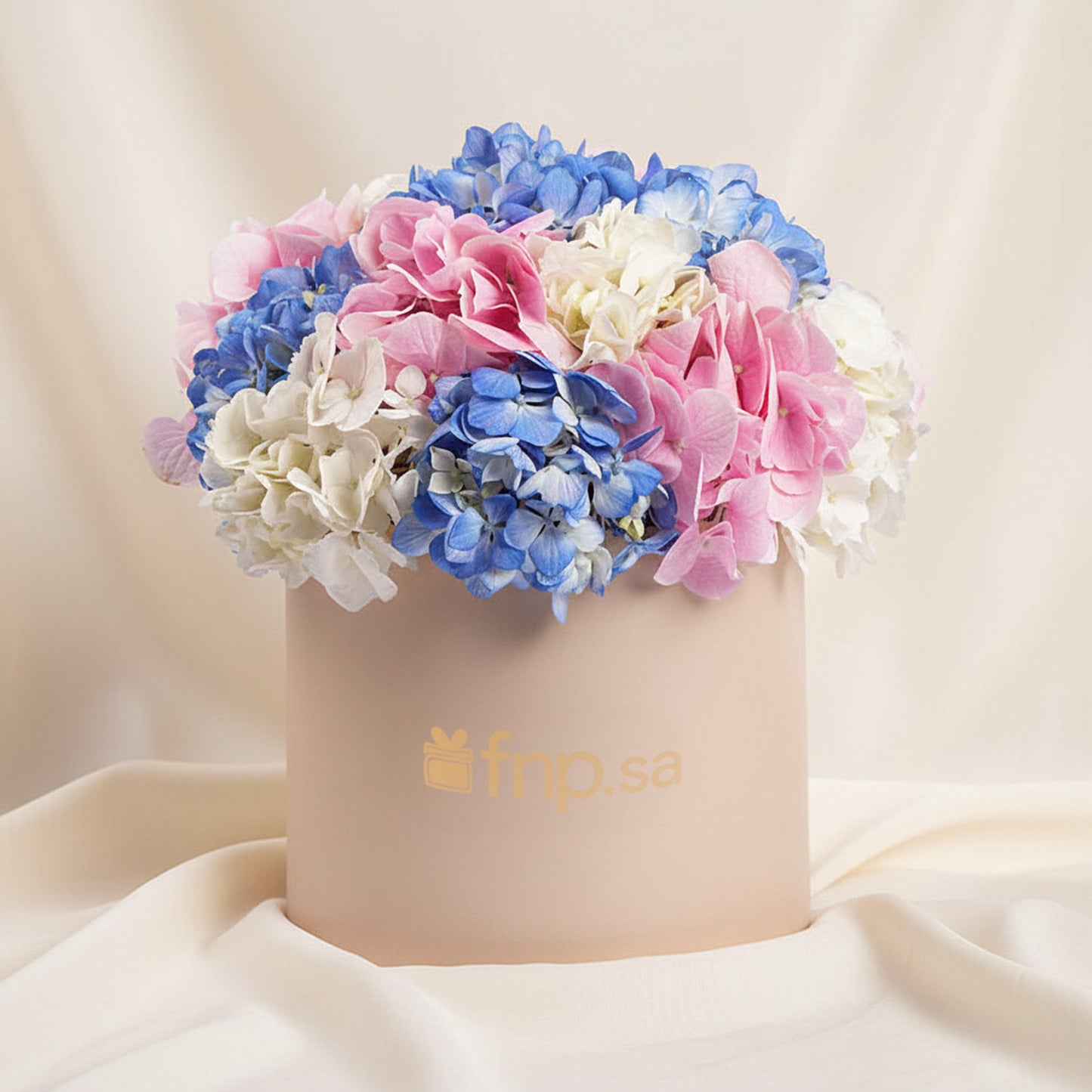 بوكس ورد تناغم الهيدرانج