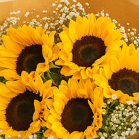 Ishraqa | Ravishing Sunflower Bouquet