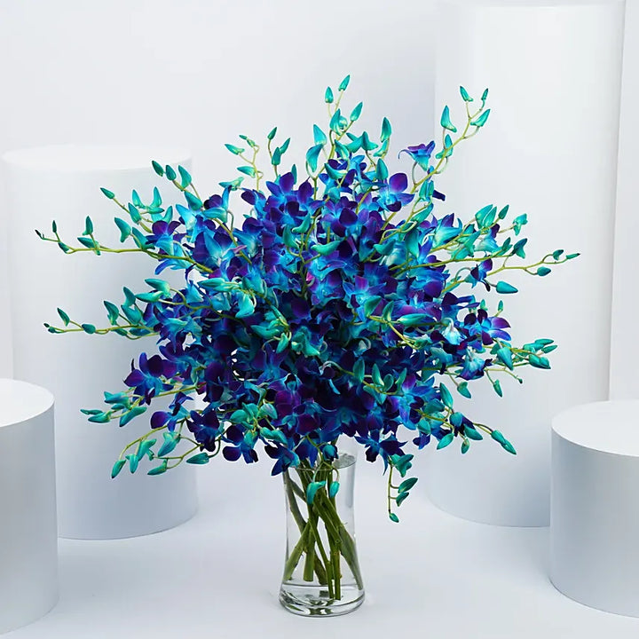 Mesmerizing Royal Blue Orchid Vase 