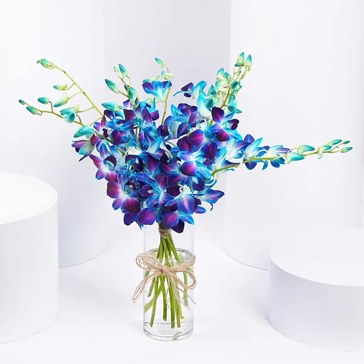 Mesmerizing Royal Blue Orchid Vase 
