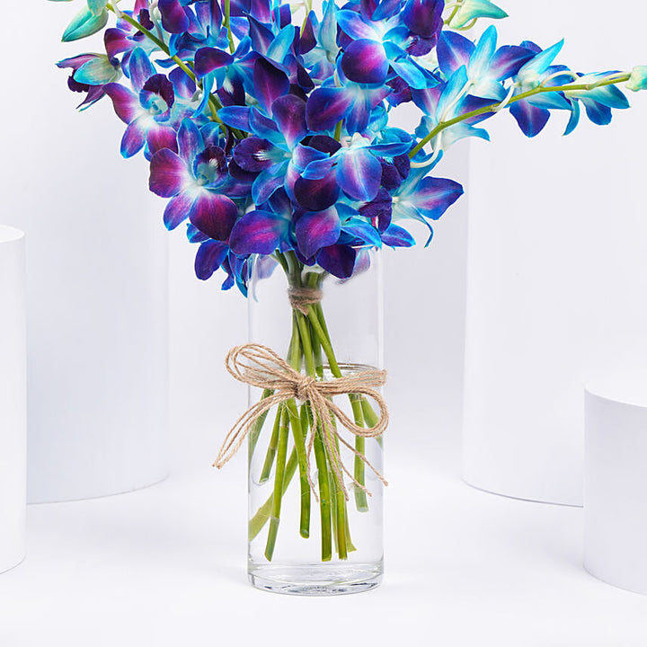 Mesmerizing Royal Blue Orchid Vase 
