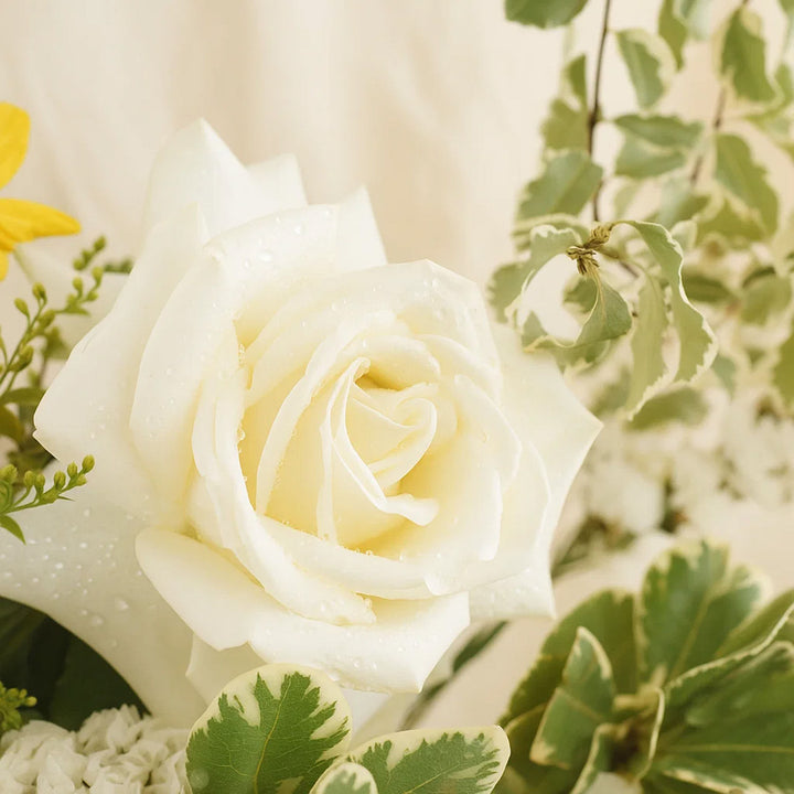 Morning Harmony Flower Vase 