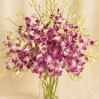 فازة ورد سحر الأوركيد | 38 زهرة أوركيد