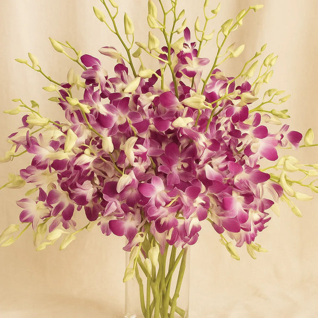 Orchid Charm | 38 Baby Orchids