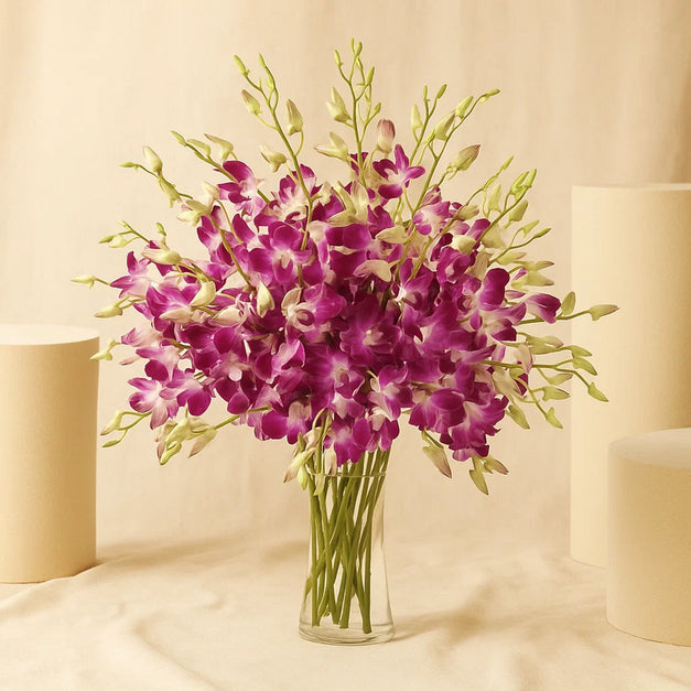 Orchid Charm | 38 Baby Orchids