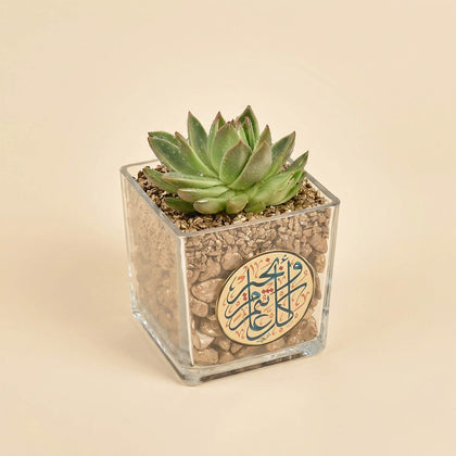 هدايا رمضانية | أصيص إيشفيريا متألق