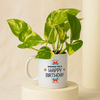 مج عيد الميلاد | أصيص نبتة المال