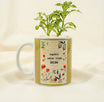 New Year Gifts | Nerve Plant Mug