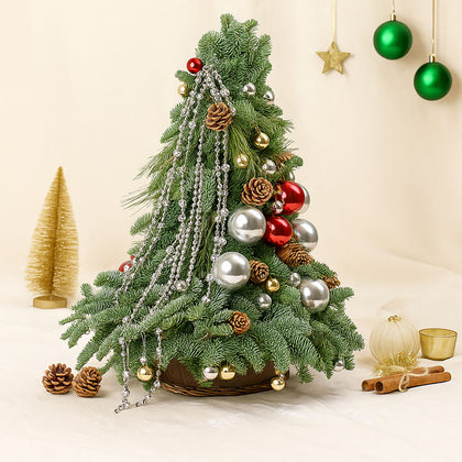 Festive Nobulus Arrangement