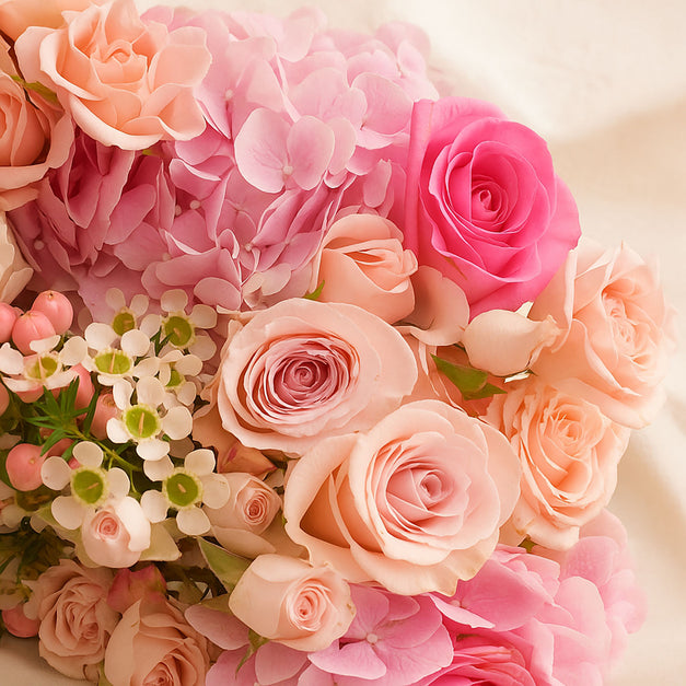 بوكيه أغنيات الوردي