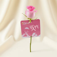 Pink October Rose