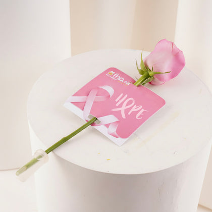 Pink October Rose