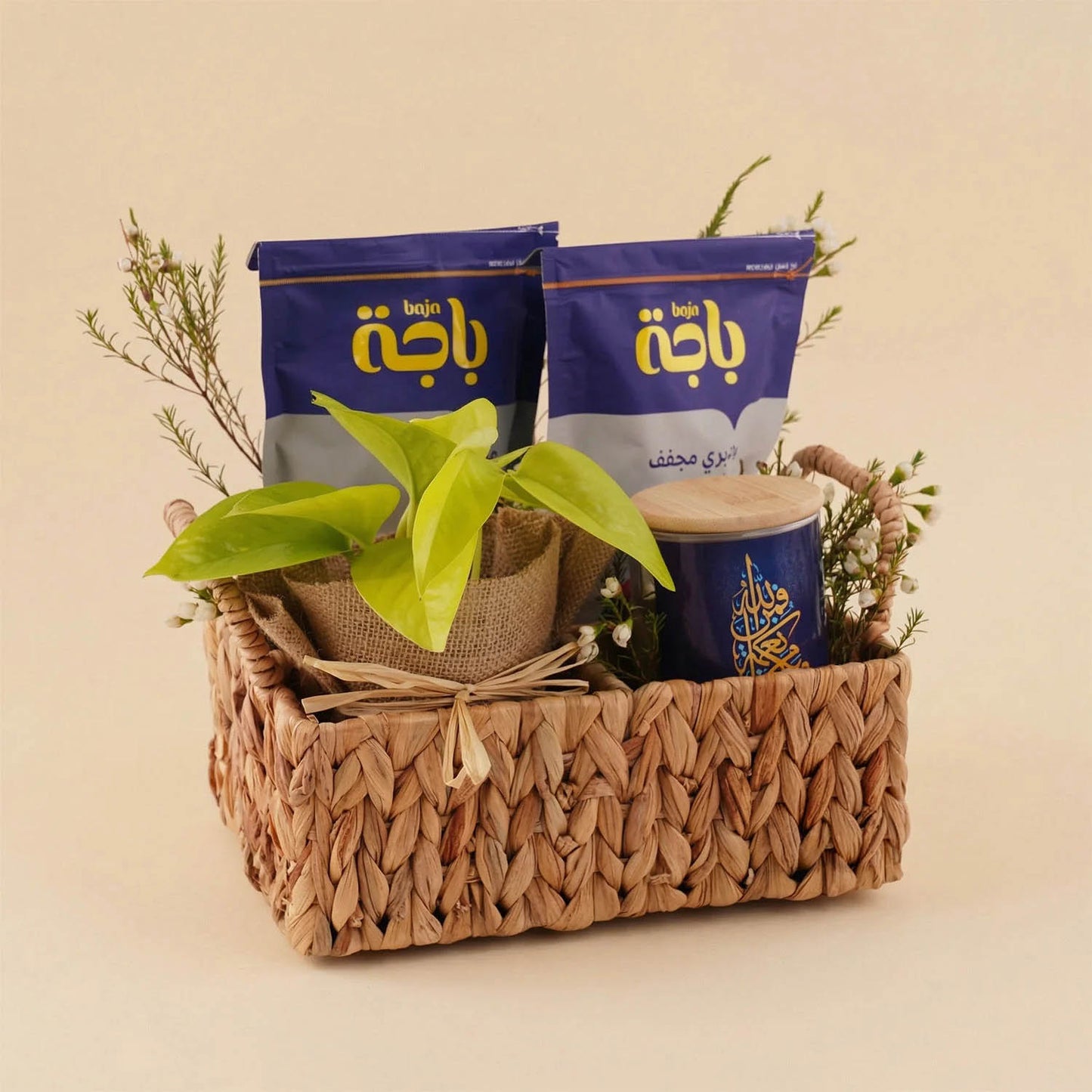 Premium Treats & Pothos Plant Gift Basket