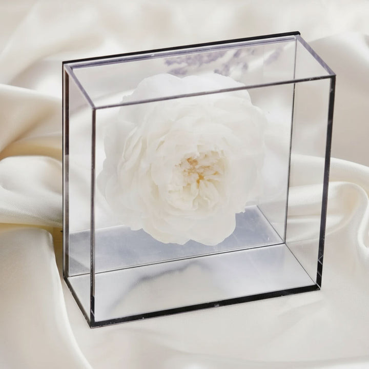 Preserved White Peony Box