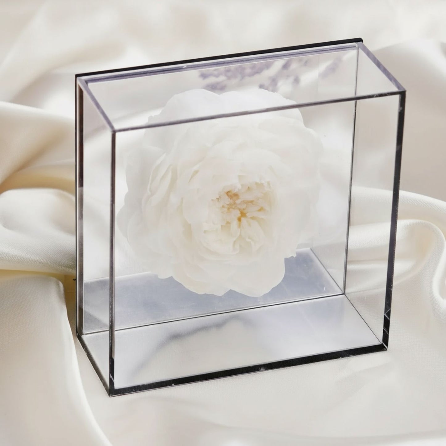 Preserved White Peony Box