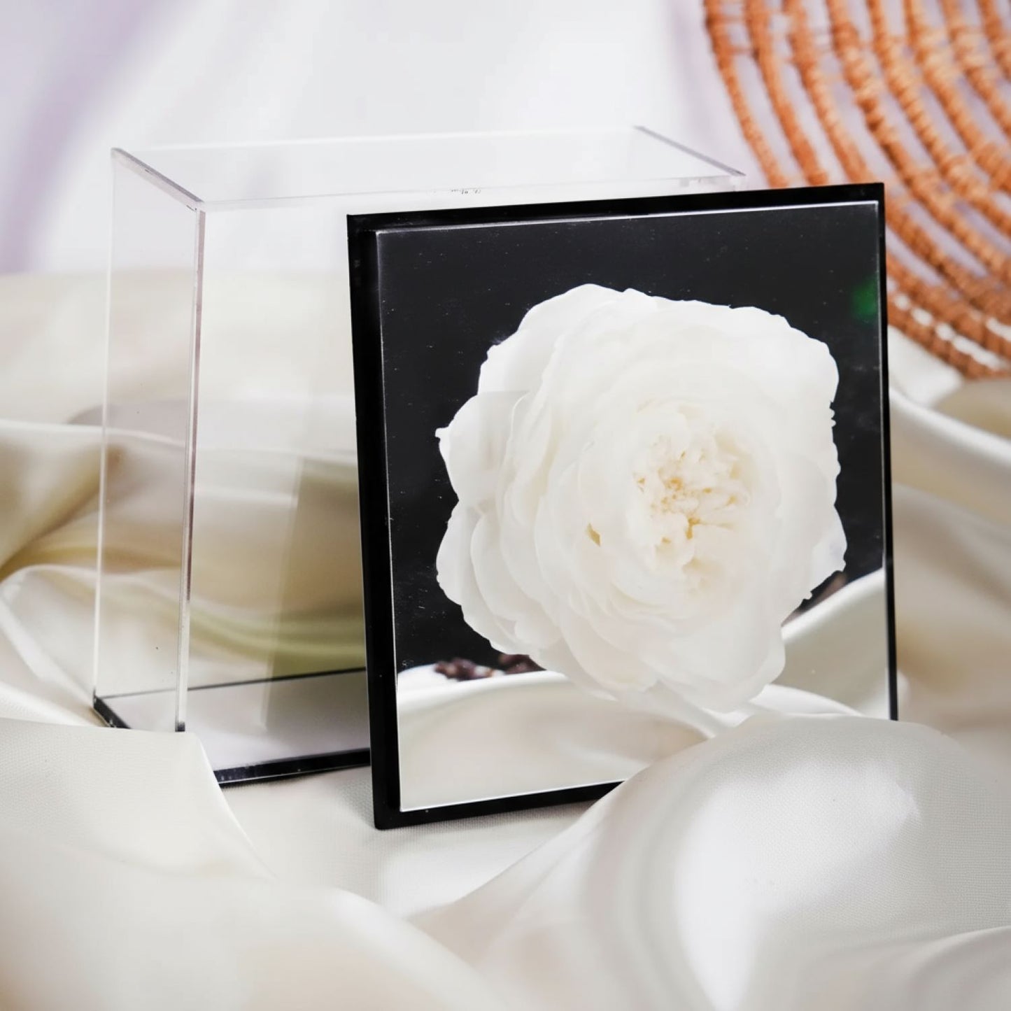 Preserved White Peony Box