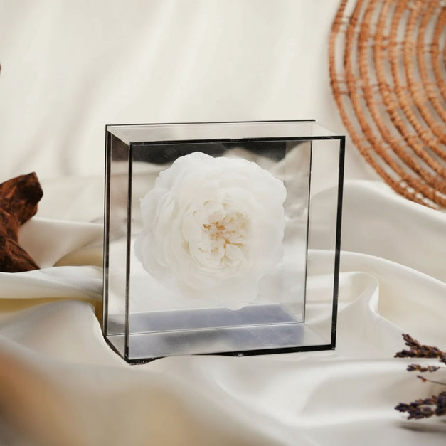 Preserved White Peony Box