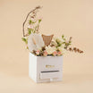 Ramadan Flower Box with Burner