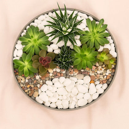 Succulent Garden Glass Bowl