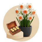 موسم الربيع