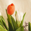 Spring Whisper Tulip Vase