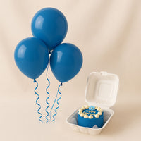 Blue Birthday Set | Mini Cake n Balloons