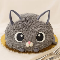 Cat Design Kids Cake