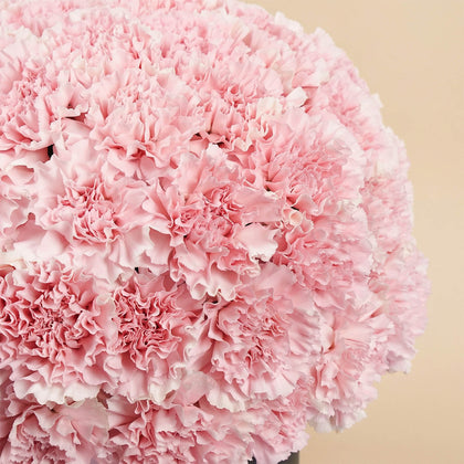 بوكس 50 وردة قرنفل زهرية فاتنة